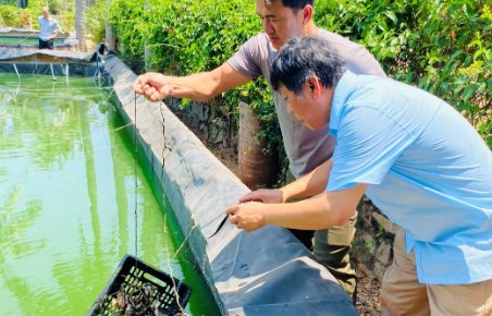 Thủy sản hữu cơ hướng đến sự cân bằng giữa kinh tế, xã hội và môi trường