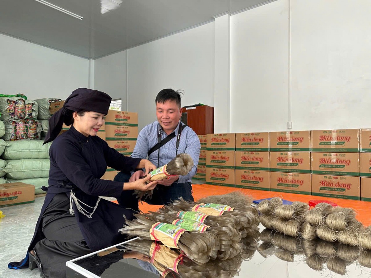 Người phụ nữ đưa miến dong " đặc sản Bắc Kạn" vươn ra biển lớn