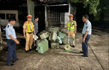 Quảng Ninh: Bắt giữ 300 kg lòng lợn khô không rõ nguồn gốc