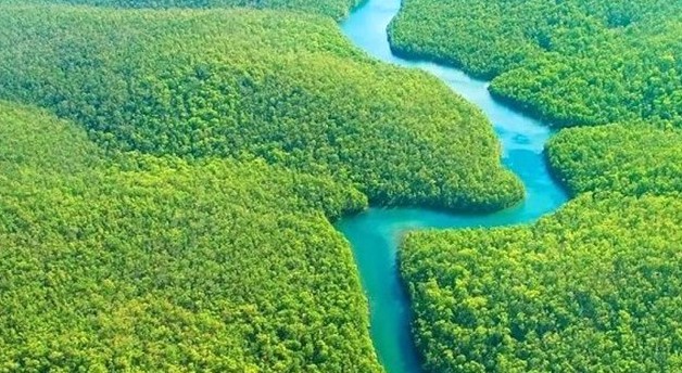 Rừng lá chắn xanh vô giá và mối quan hệ sống còn với đất đai và nguồn nước