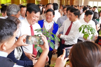 Sâm Ngọc Linh là cây chủ lực đưa Quảng Nam thành trung tâm dược liệu quốc gia