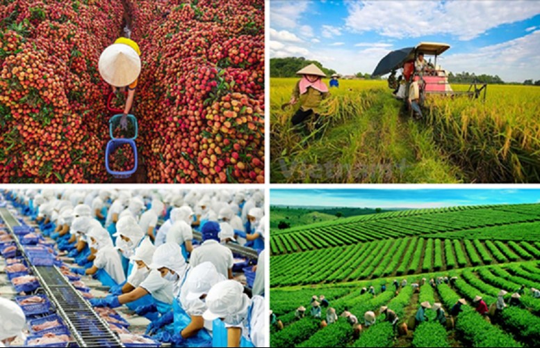 Động lực mới cho phát triển kinh tế