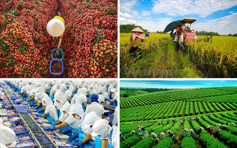 Động lực mới cho phát triển kinh tế