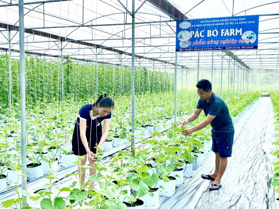 Người nông dân tiên phong làm nông nghiệp thông minh trên vùng đất khó