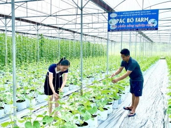 Người nông dân tiên phong làm nông nghiệp thông minh trên vùng đất khó
