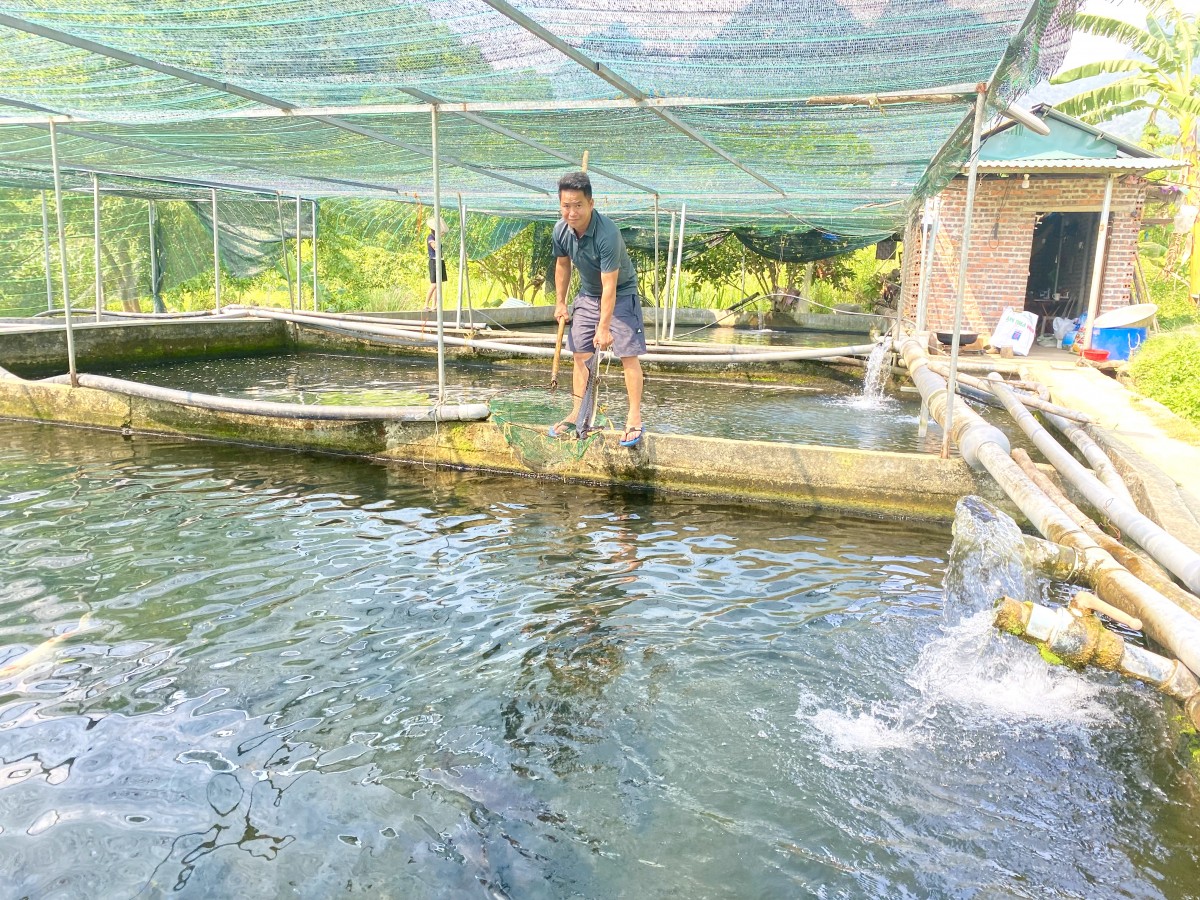 Người nông dân tiên phong làm nông nghiệp thông minh trên vùng đất khó