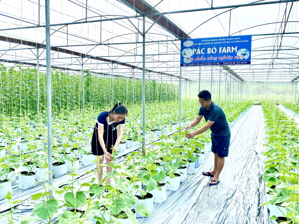 Người nông dân tiên phong làm nông nghiệp thông minh trên vùng đất khó