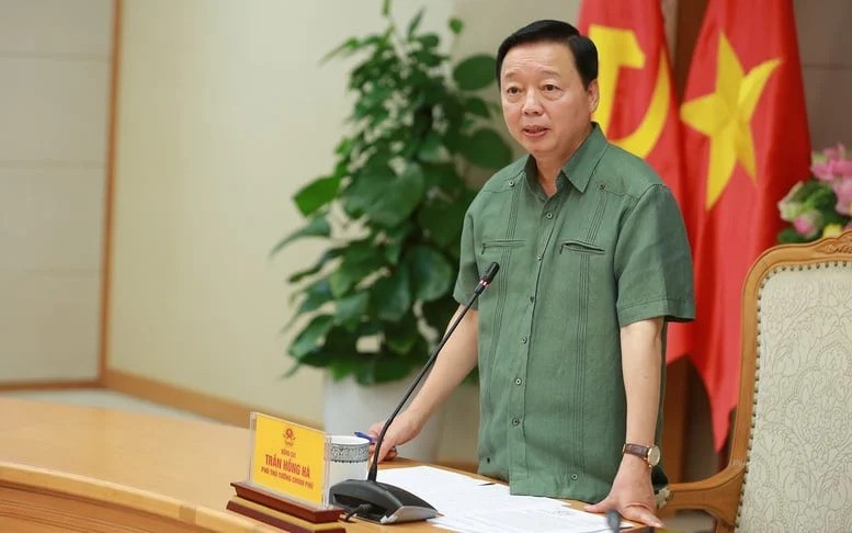 Phát triển dược liệu dưới tán rừng phải gắn với sinh kế, giữ dân, giữ rừng