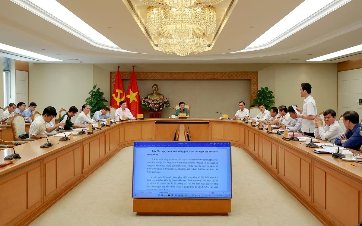 Phát triển dược liệu dưới tán rừng phải gắn với sinh kế, giữ dân, giữ rừng
