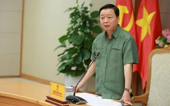 Phát triển dược liệu dưới tán rừng phải gắn với sinh kế, giữ dân, giữ rừng