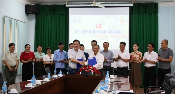 Đắk Lắk: Hợp tác nghiên cứu, chuyển giao kỹ thuật canh tác sầu riêng xuất khẩu