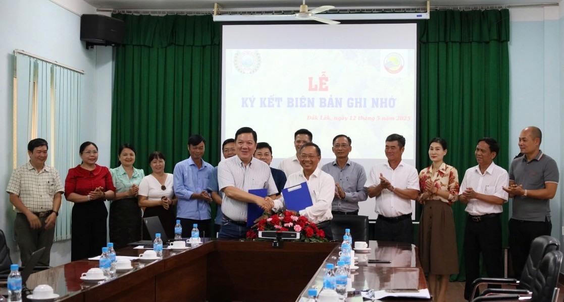 Đắk Lắk: Hợp tác nghiên cứu, chuyển giao kỹ thuật canh tác sầu riêng xuất khẩu