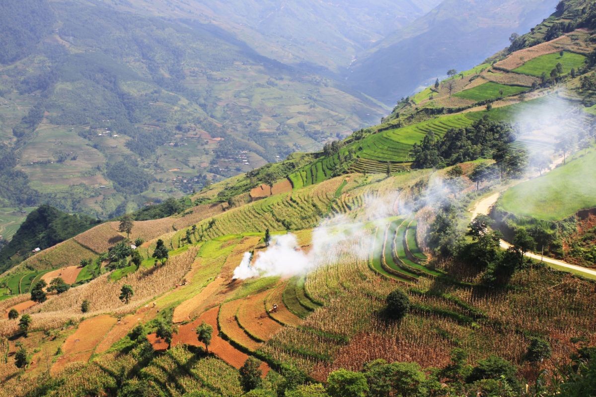 Gạo Già Dui: Tinh túy đất trời, hồn cốt văn hóa vùng cao Hà Giang