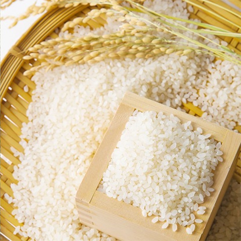 Gạo Già Dui: Tinh túy đất trời, hồn cốt văn hóa vùng cao Hà Giang