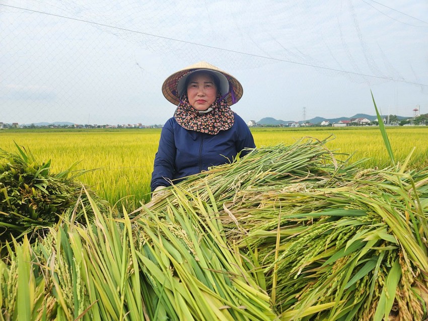 mất mùa