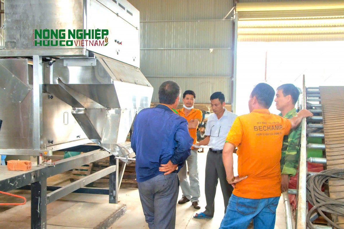 Nông nghiệp hữu cơ ở Đắk Nông: Nhiều tiềm năng nhưng vẫn chưa 