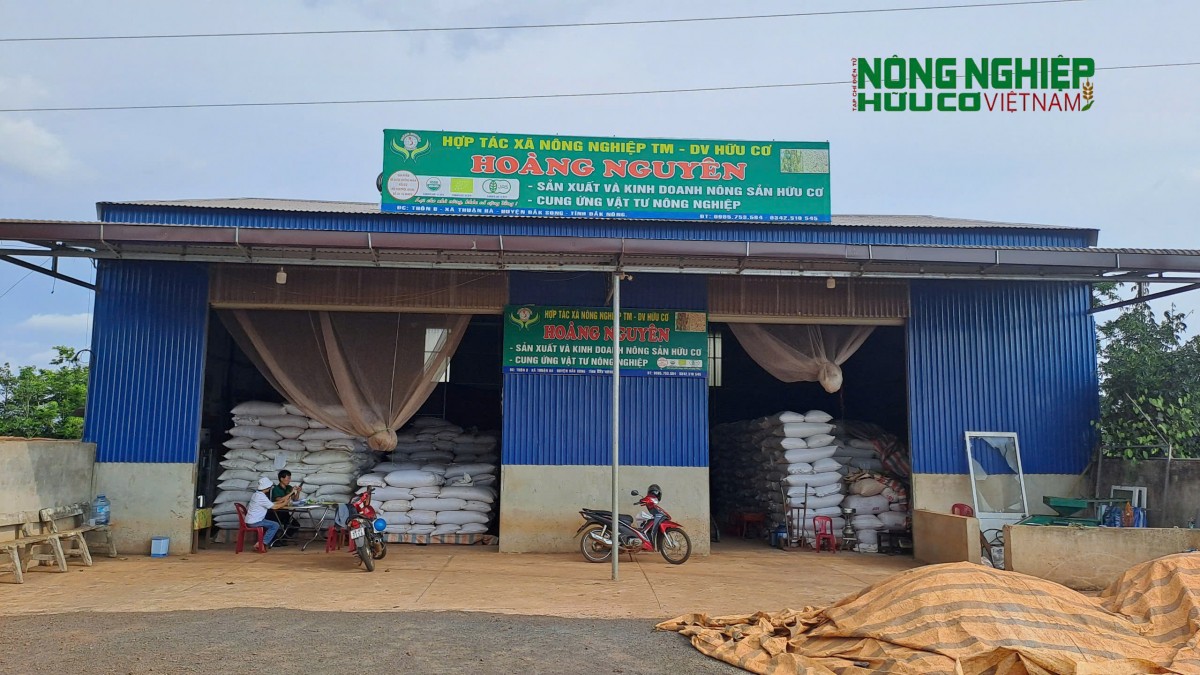 Nông nghiệp hữu cơ ở Đắk Nông: Nhiều tiềm năng nhưng vẫn chưa 