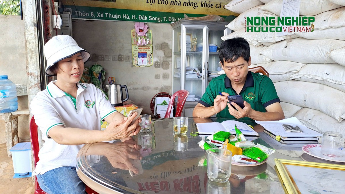 Nông nghiệp hữu cơ ở Đắk Nông: Nhiều tiềm năng nhưng vẫn chưa 