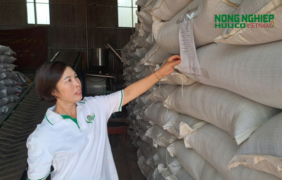 Nông nghiệp hữu cơ ở Đắk Nông: Nhiều tiềm năng nhưng vẫn chưa 
