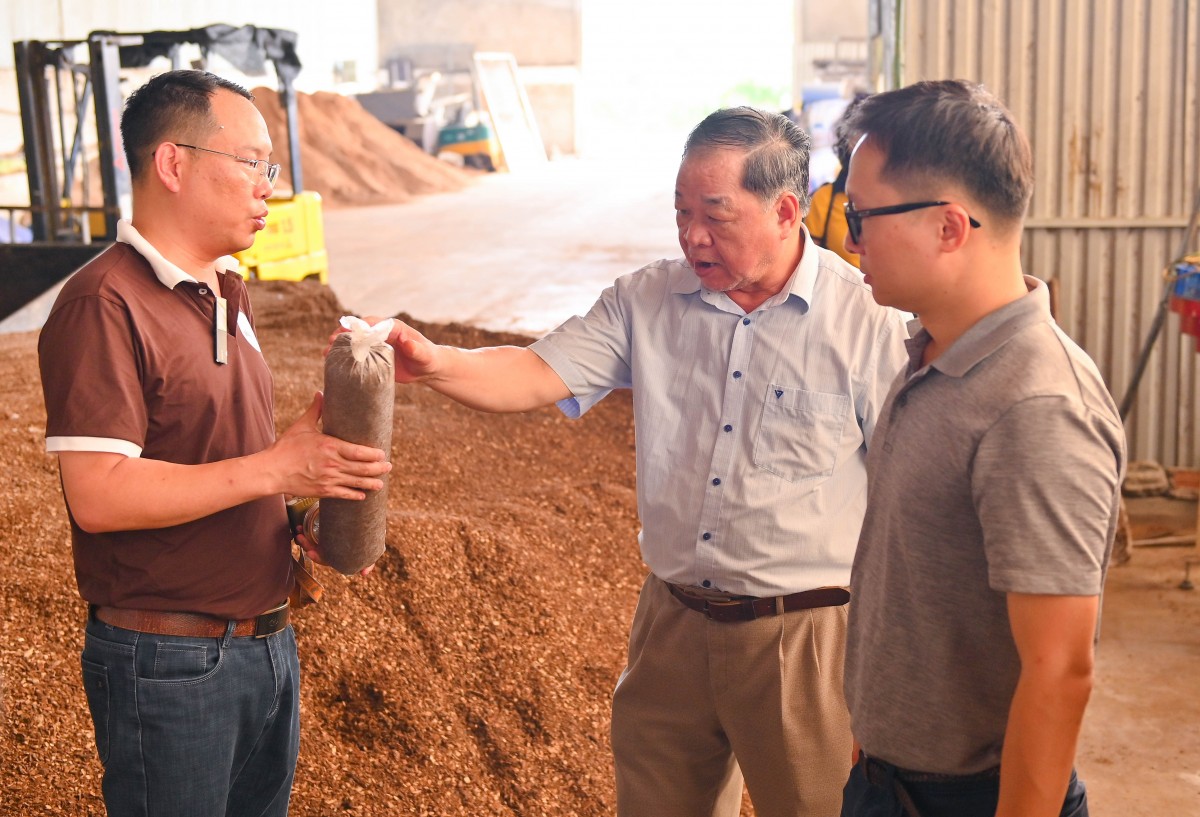 Tận dụng nguồn nguyên liệu sản xuất giá thể dồi dào ngay tại địa phương.