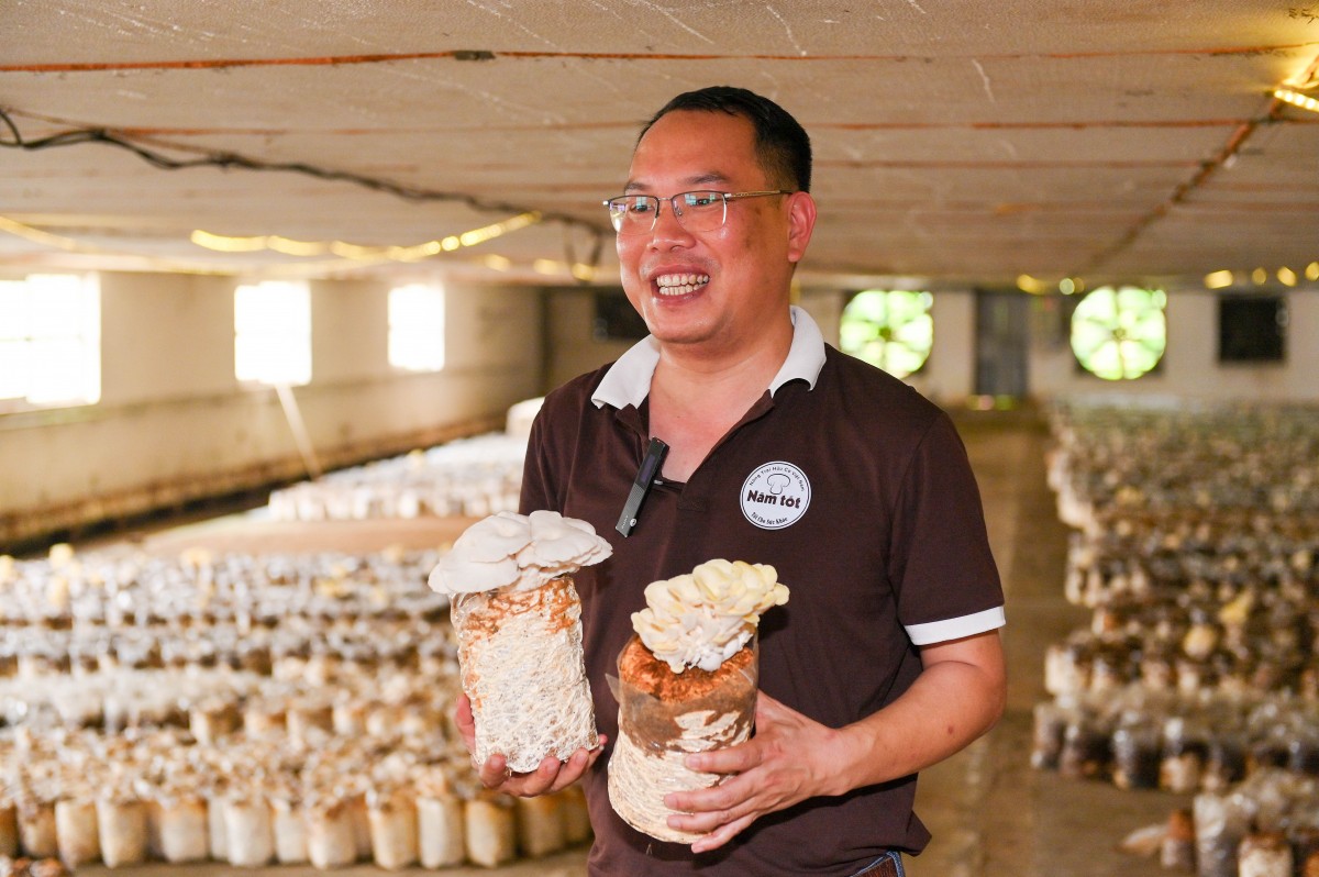Ông Mai Văn Hưng - Tổng Giám đốc Nấm Tốt Nameco.