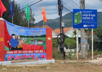 Mãn nhãn với vườn bí đao khổng lồ chỉ có ở Bình Định
