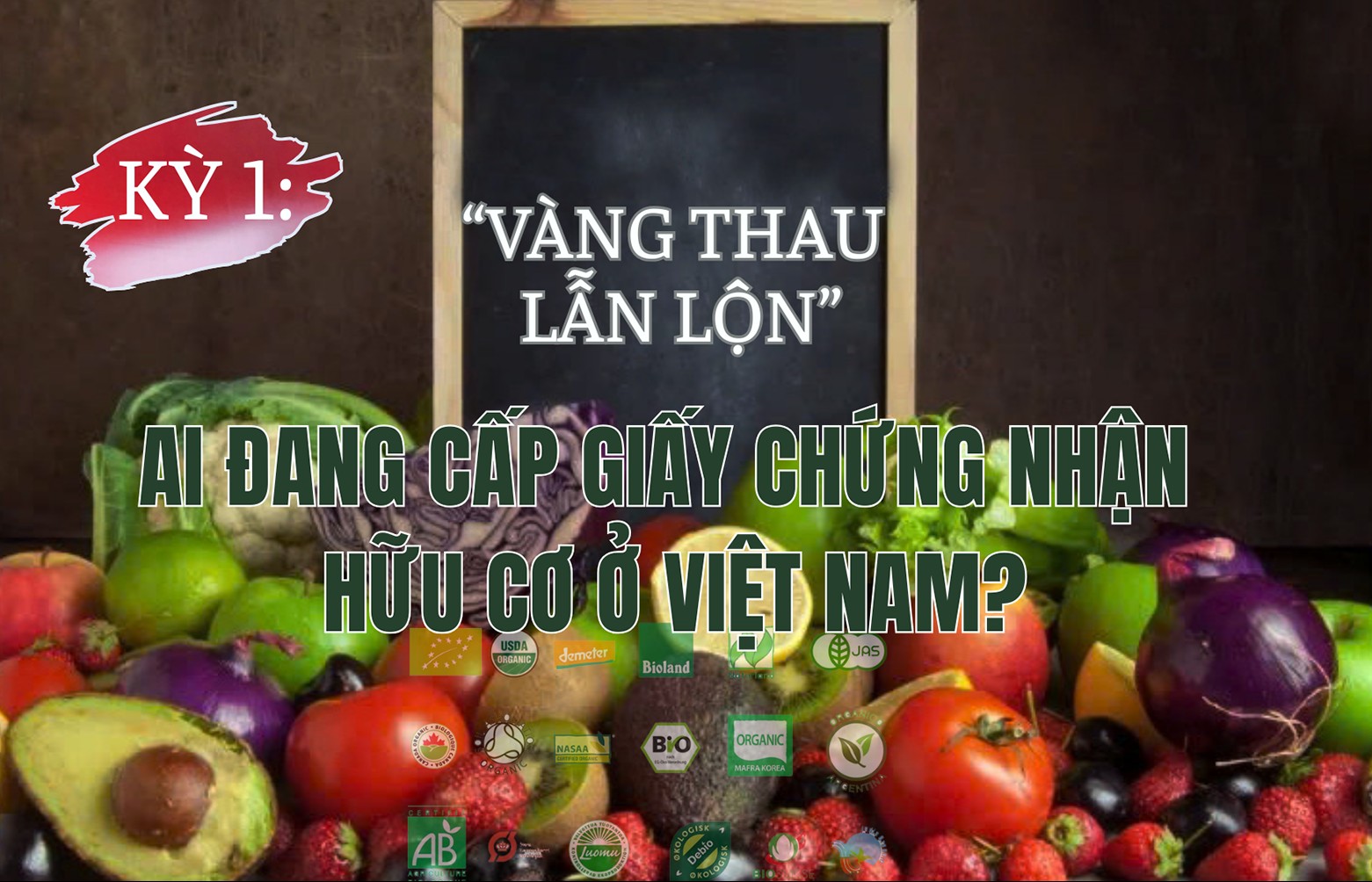 KỲ 1: “Vàng thau lẫn lộn” - Ai đang cấp giấy chứng nhận hữu cơ ở Việt Nam?