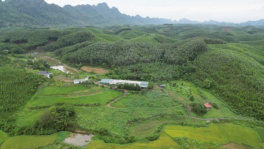 Trải nghiệm thực tiễn tại Mục Đồng farm giúp học sinh trường Genesis hiểu rõ giá trị của nông nghiệp hữu cơ với cuộc sống