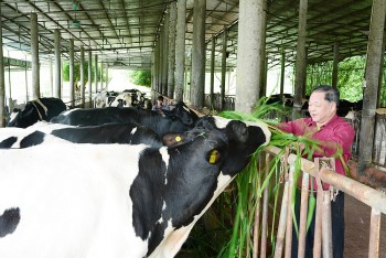 Trải nghiệm tại Mục Đồng farm: Giúp học sinh trường Genesis hiểu rõ giá trị của nông nghiệp hữu cơ với cuộc sống