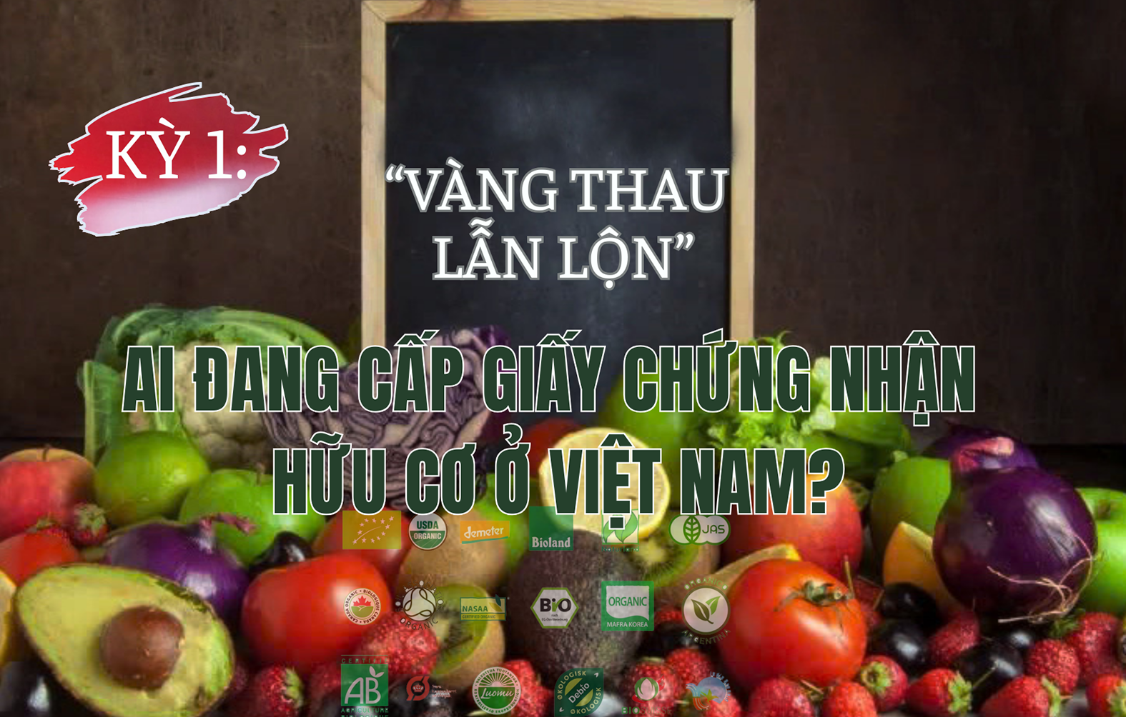 KỲ 1: “Vàng thau lẫn lộn” - Ai đang cấp giấy chứng nhận hữu cơ ở Việt Nam?