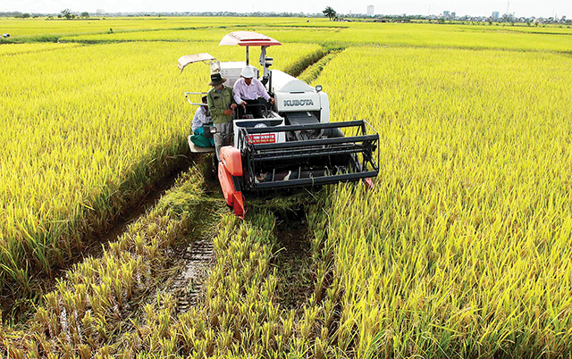 Tiếp cận công nghệ mới: Chìa khóa phát triển nông nghiệp bền vững