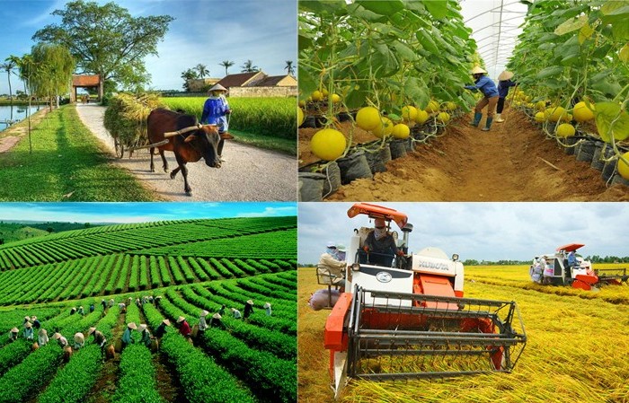 Tổng điều tra nông thôn, nông nghiệp từ 1/7/2025