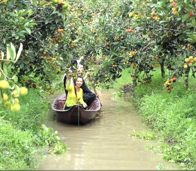 Miệt vườn Nam bộ: Giao hòa giữa thiên nhiên và du lịch sinh thái
