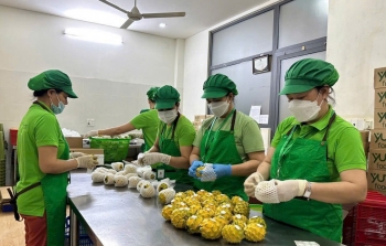 Khơi nguồn sống xanh từ mỗi hạt giống tử tế