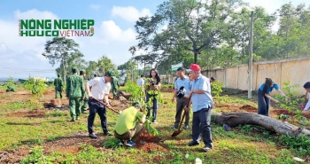 Đắk Nông: Huyện Đắk Song phát động Tết trồng cây “Đời đời nhớ ơn Bác Hồ”