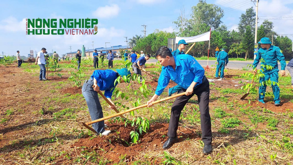 Đắk Nông: Huyện Đắk Song phát động Tết trồng cây “Đời đời nhớ ơn Bác Hồ”