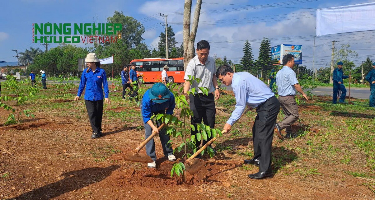 Đắk Nông: Huyện Đắk Song phát động Tết trồng cây “Đời đời nhớ ơn Bác Hồ” Đắk Nông: Huyện Đắk Song phát động Tết trồng cây “Đời đời nhớ ơn Bác Hồ”