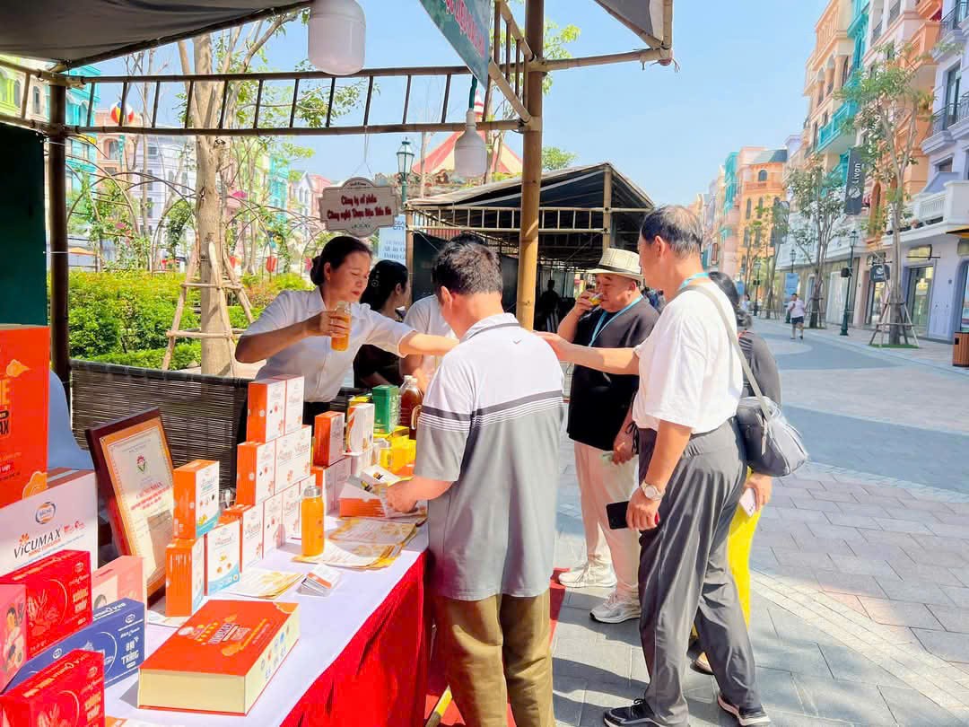 “Tinh chất quý” từ củ nghệ nếp vàng của vùng núi cao Bắc Kạn