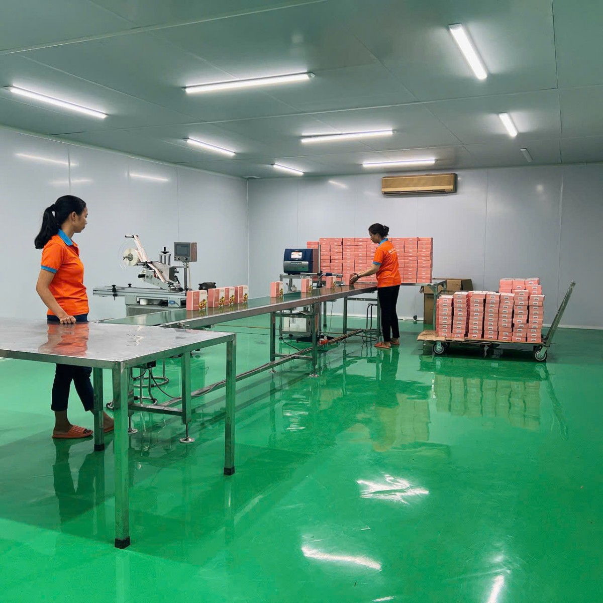 “Tinh chất quý” từ củ nghệ nếp vàng của vùng núi cao Bắc Kạn