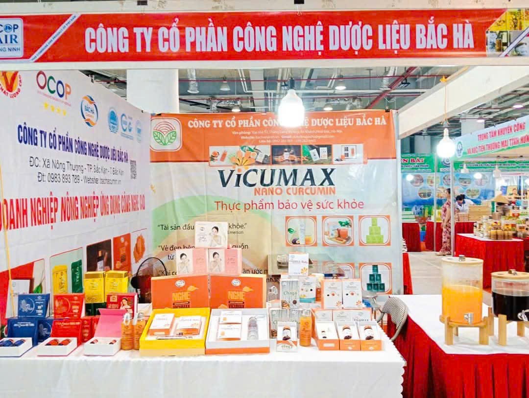 “Tinh chất quý” từ củ nghệ nếp vàng của vùng núi cao Bắc Kạn