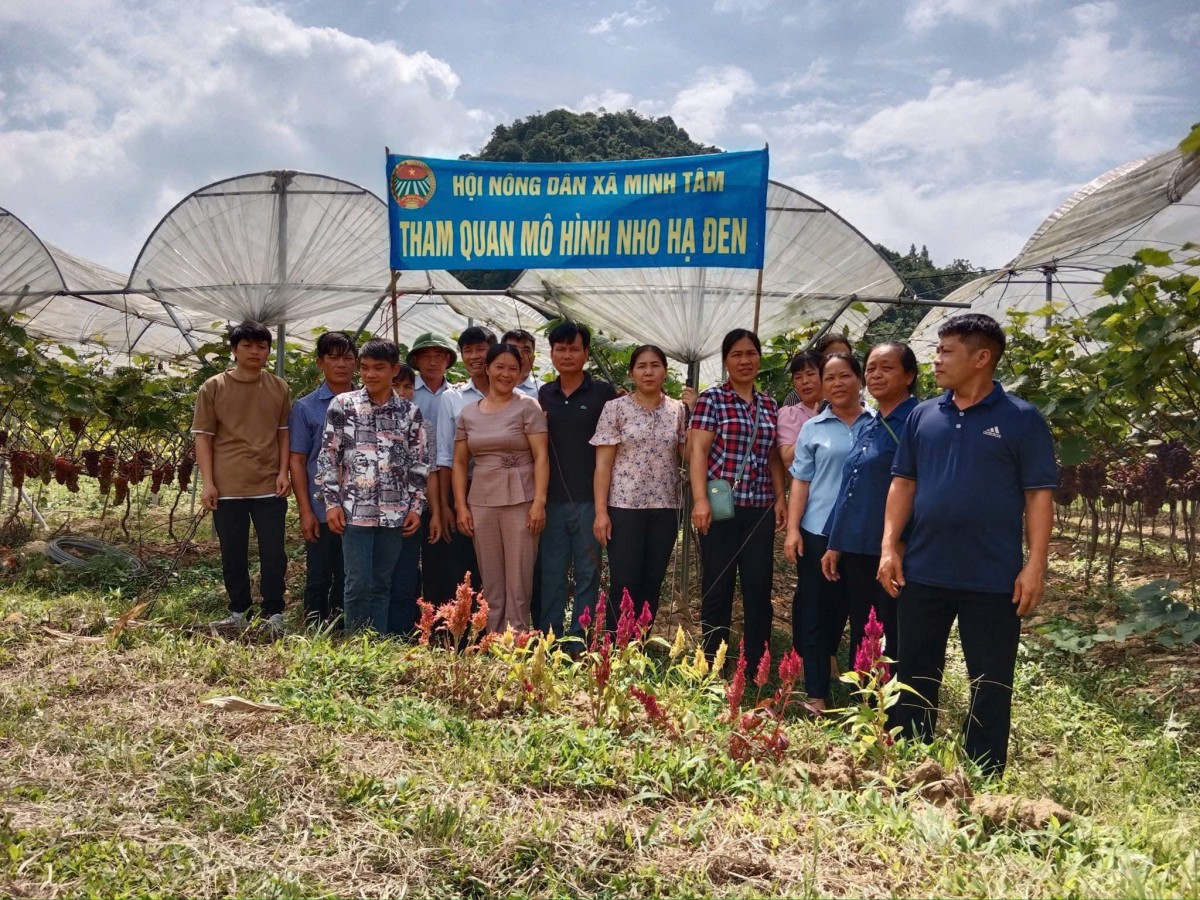 Đa dạng mô hình phát triển kinh tế, giảm nghèo hiệu quả ở xã Minh Tâm