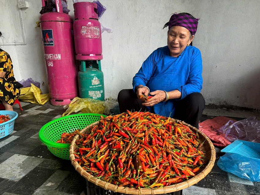 Vươn lên thoát nghèo nhờ liên kết sản xuất ớt bản địa