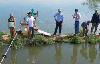 Quảng Bình: Tập huấn nuôi cá ngạnh thương phẩm cho bà con nông dân