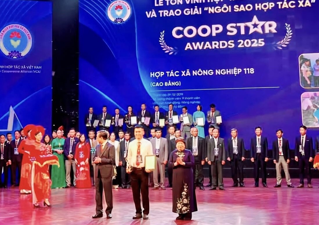Nông dân Việt bắt tằm… “nhả bạc” trên vùng đất khó