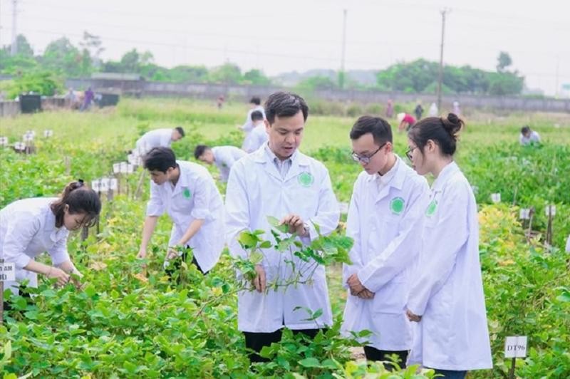 Giải pháp nâng cao hiệu quả giáo dục và đào tạo nhân lực cho nông nghiệp hữu cơ