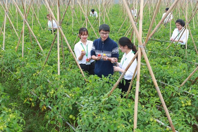 Giải pháp nâng cao hiệu quả giáo dục và đào tạo nhân lực cho nông nghiệp hữu cơ