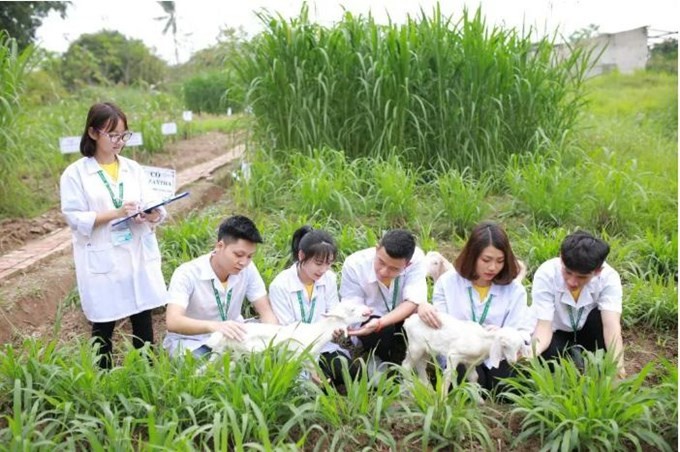 Giải pháp nâng cao hiệu quả giáo dục và đào tạo nhân lực cho nông nghiệp hữu cơ