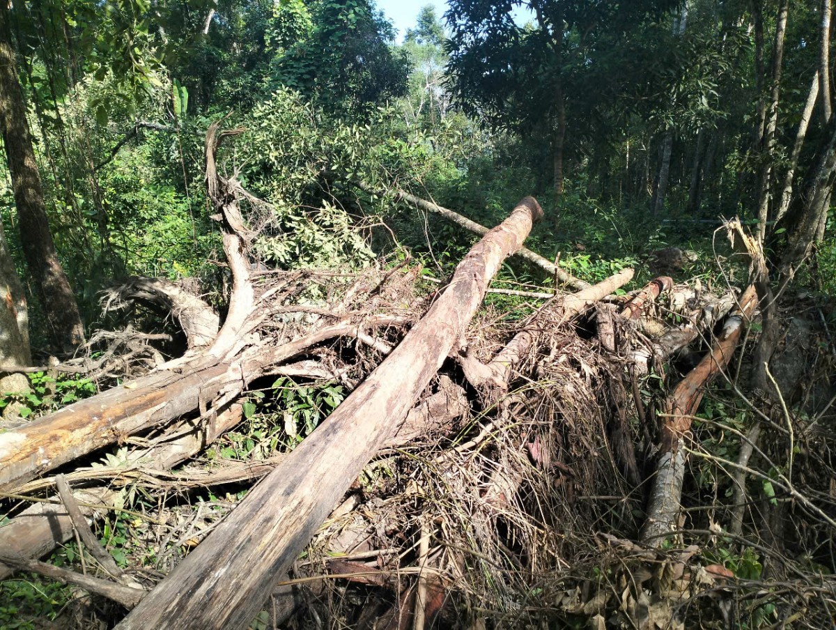 Lập biên bản xử lý hành vi ngăn chặn, làm thay đổi dòng chảy của suối