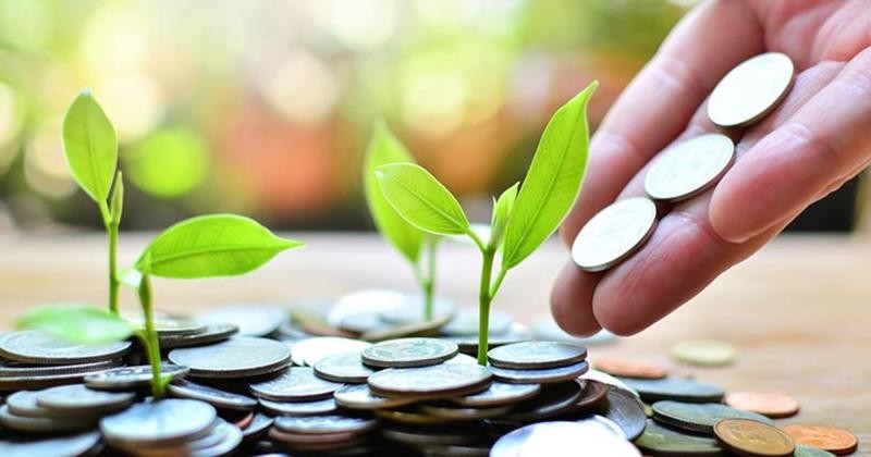 Nông nghiệp Hữu cơ không thể tách rời Tín dụng xanh