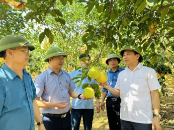 Khẳng định vai trò “cầu nối” đưa tiến bộ khoa học kỹ thuật đến với người nông dân